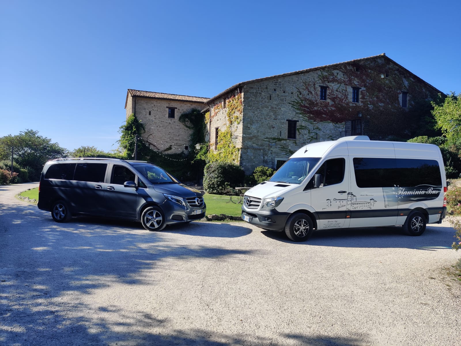 3c7d1869-b348-4b00-a4a2-c7a5c0044534