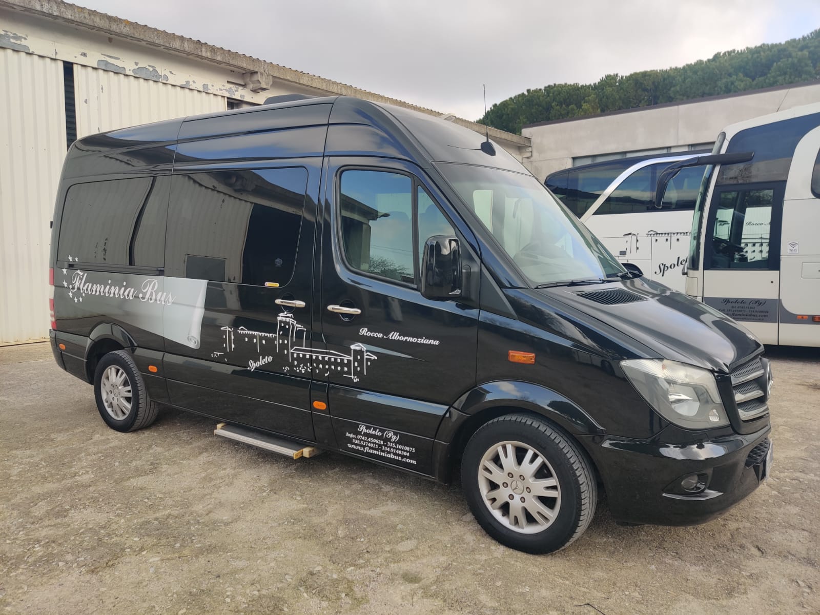 WhatsApp Image 2025-02-10 at 10.51.42 (11)