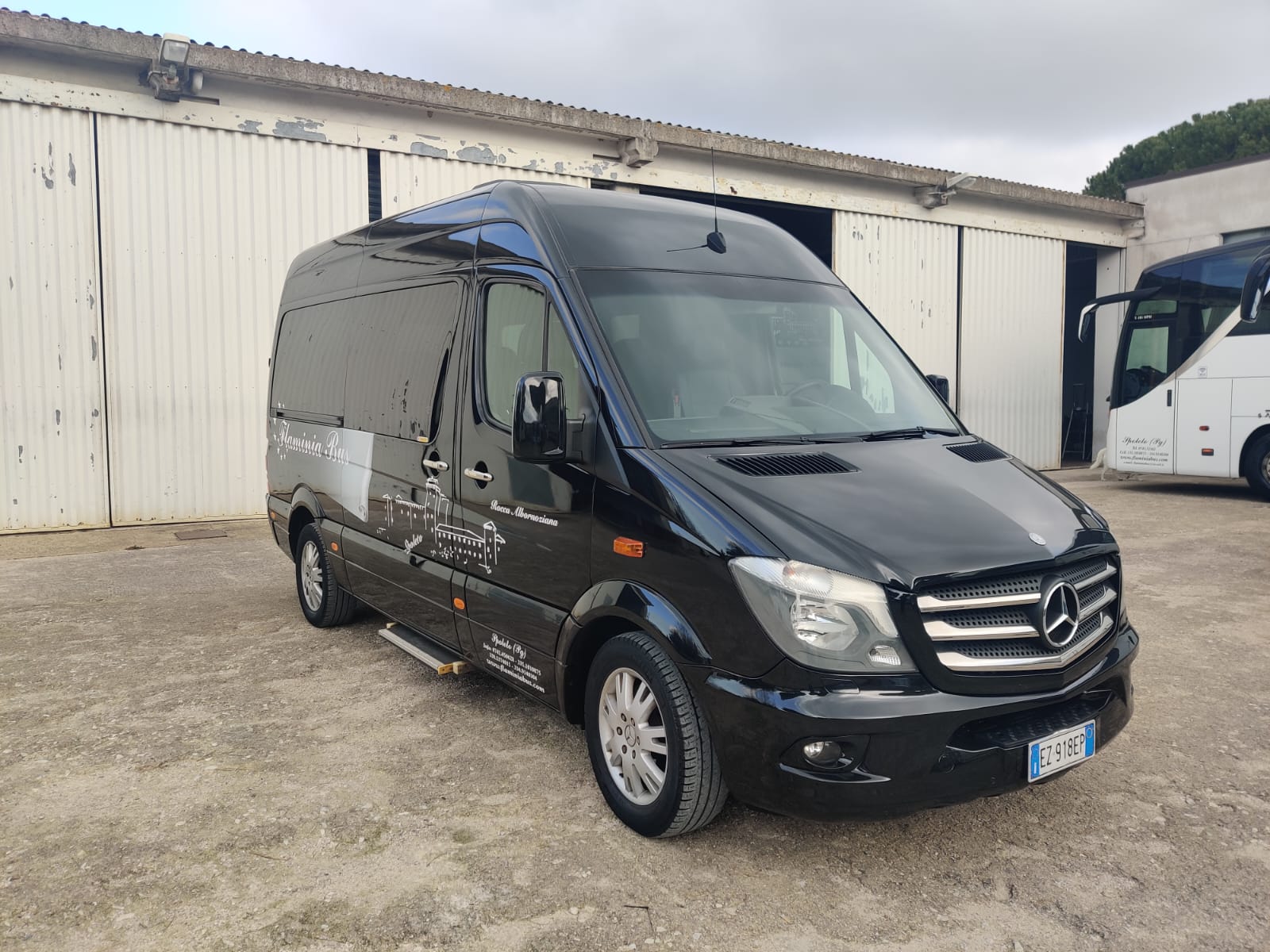 WhatsApp Image 2025-02-10 at 10.51.42 (9)