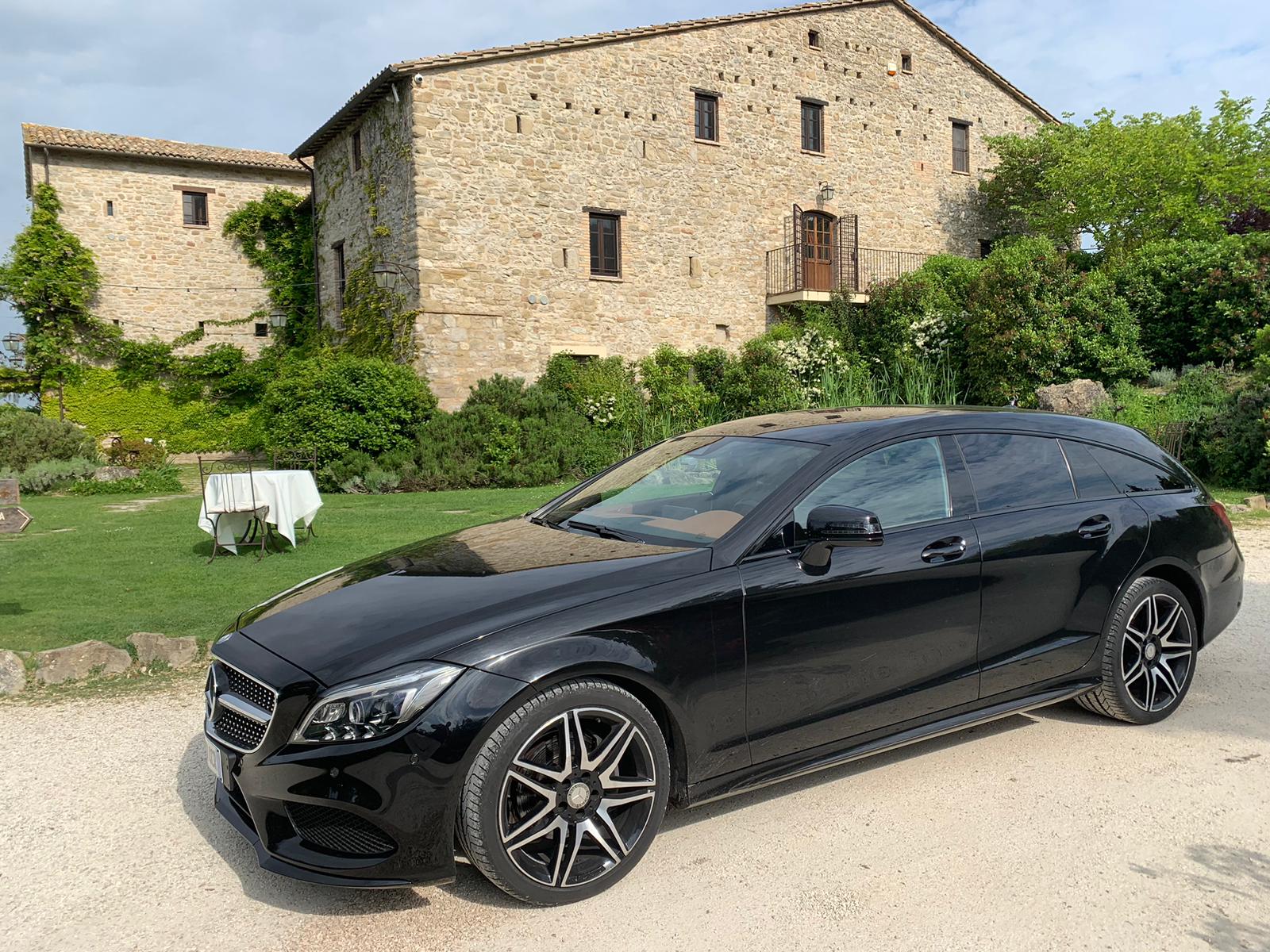 WhatsApp Image 2025-02-10 at 10.51.42